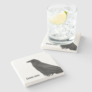 Posavasos De Piedra Cuervo Negro Con Nombre Científico
