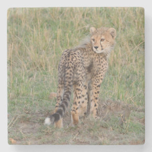 Posavasos De Piedra Cuesta De Chitas Atrás.