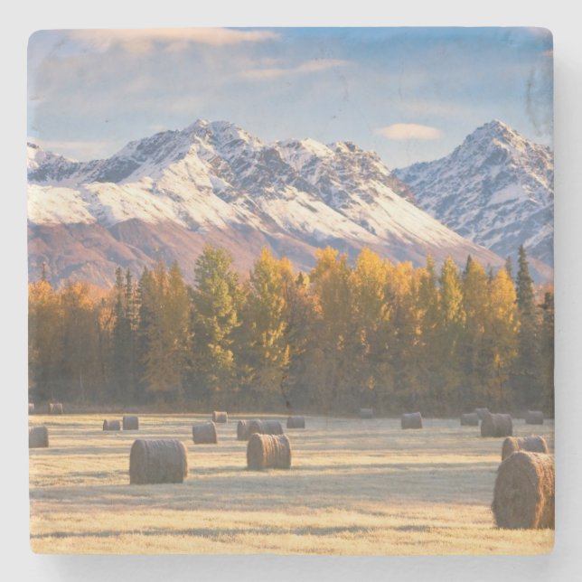 Posavasos De Piedra Cultivo de Alaska (Anverso)