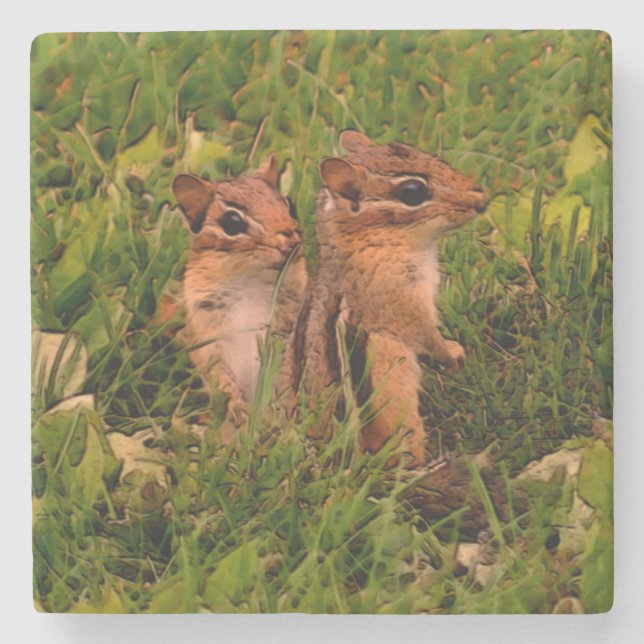Posavasos De Piedra Cute Baby Chipmunks Animal Art (Anverso)