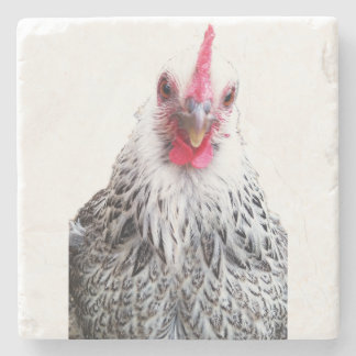 Posavasos De Piedra Cute Bantam Cochin Hen Photo Stone Coaster