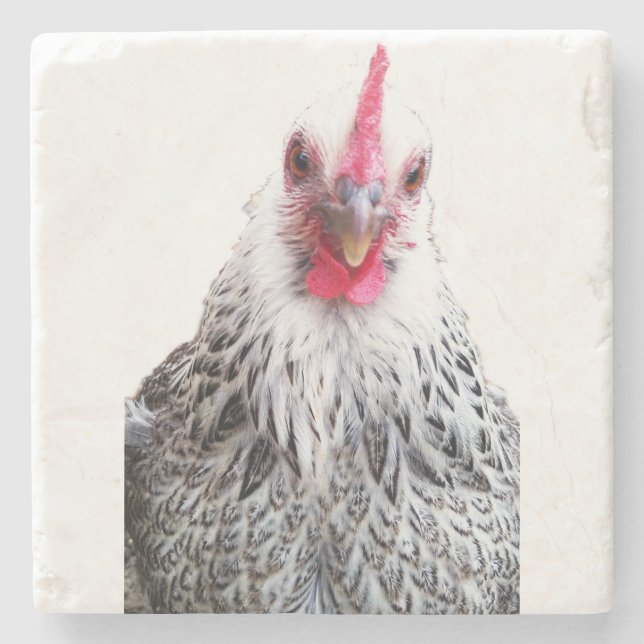 Posavasos De Piedra Cute Bantam Cochin Hen Photo Stone Coaster (Anverso)