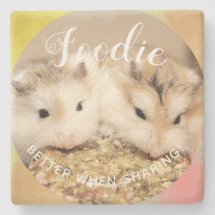 Posavasos De Piedra Cute Robo Hamsters Foodie