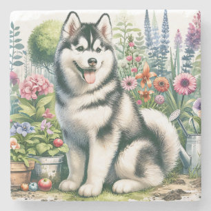Posavasos De Piedra Cute Siberian Husky