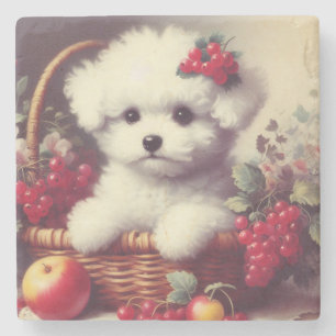 Posavasos De Piedra Cute vintage Bichon Frisé Pintura