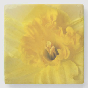 Posavasos De Piedra daffodil amarillo