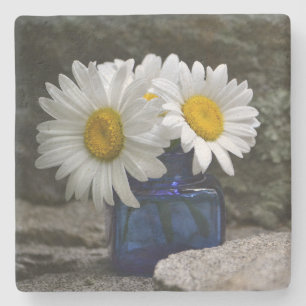 Posavasos De Piedra Daisises En Cobalto Inkwell