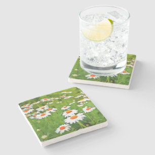 Posavasos De Piedra Daisitas de los Jardínes Blancos Brillantes y Colo