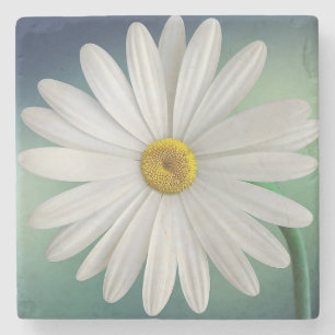 Posavasos De Piedra Daisy