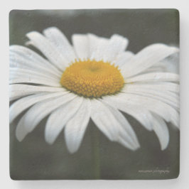 Posavasos De Piedra Daisy - Cara arriba