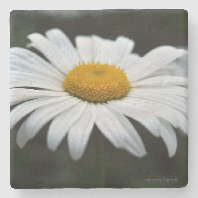 Posavasos De Piedra Daisy - Cara arriba (Anverso)