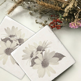 Posavasos De Piedra Daisy Flower Stone Coasters