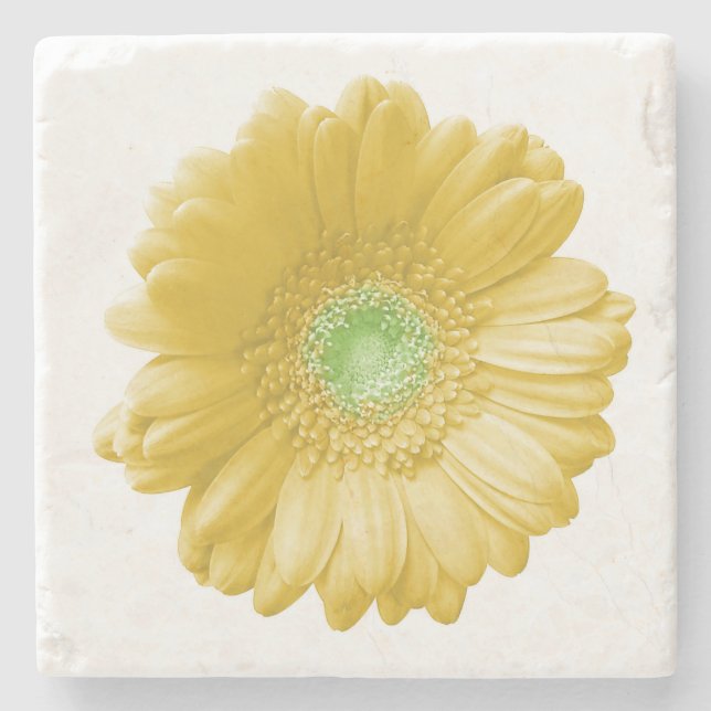 Posavasos De Piedra Daisy gerbera amarilla (Anverso)