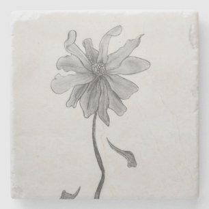 Posavasos De Piedra Daisy simple