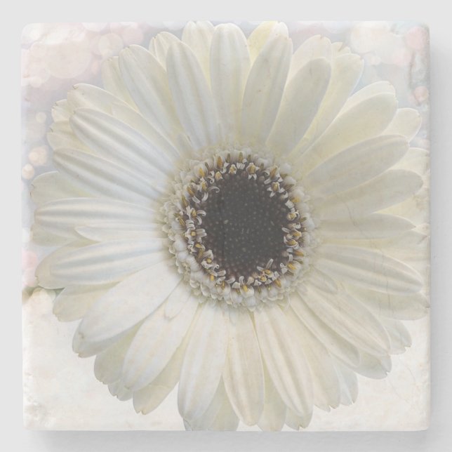 Posavasos De Piedra Daisy Stone Coaster (Anverso)