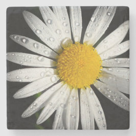 Posavasos De Piedra Daisy Stone Coaster