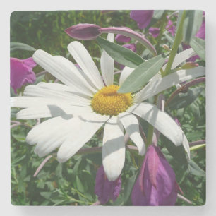 Posavasos De Piedra Daisy y Fireweed Wildflower