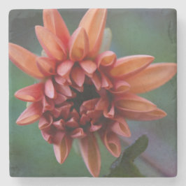 Posavasos De Piedra Dalia anaranjada II