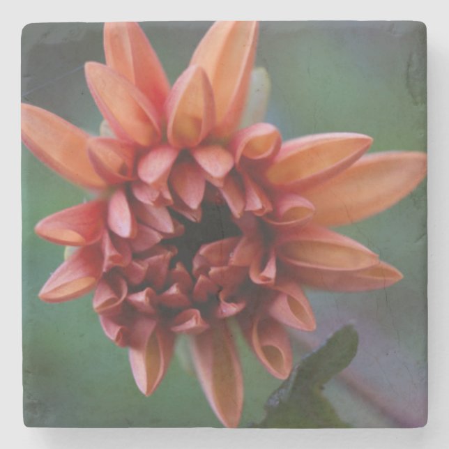 Posavasos De Piedra Dalia anaranjada II (Anverso)