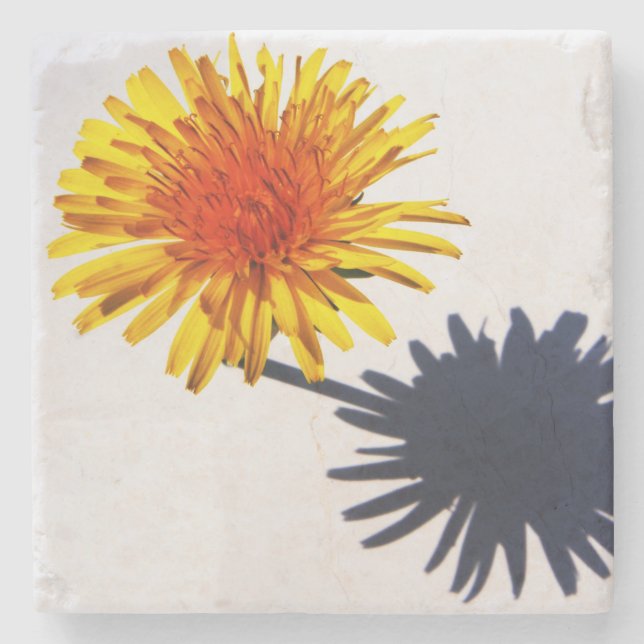 Posavasos De Piedra Dandelion y el coastercán de la sombra (Anverso)