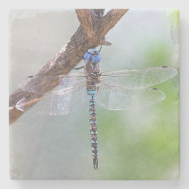 Posavasos De Piedra Darner Dragonfly de ojos azules