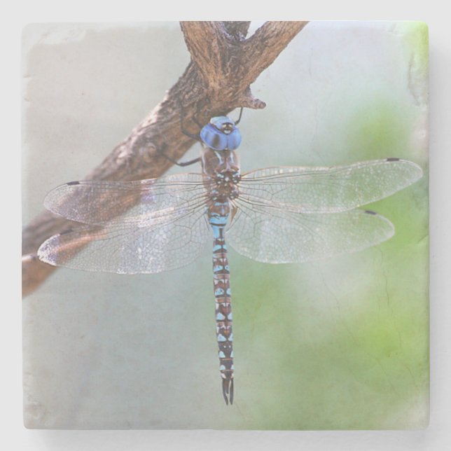 Posavasos De Piedra Darner Dragonfly de ojos azules (Anverso)