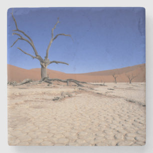 Posavasos De Piedra Dead Vlei, Sossusvlei, Parque Nacional Namib-Naukl