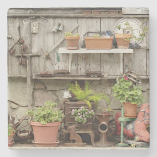 Posavasos De Piedra Decoración en una valla de madera, en Catalina Isl