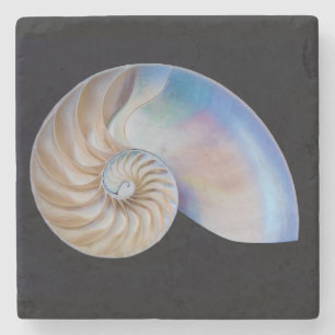 Posavasos De Piedra Dentro Del Nautilus