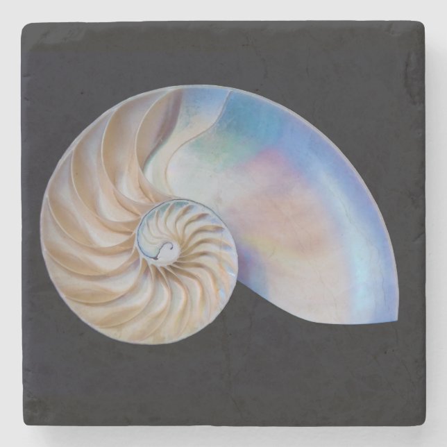 Posavasos De Piedra Dentro Del Nautilus (Anverso)