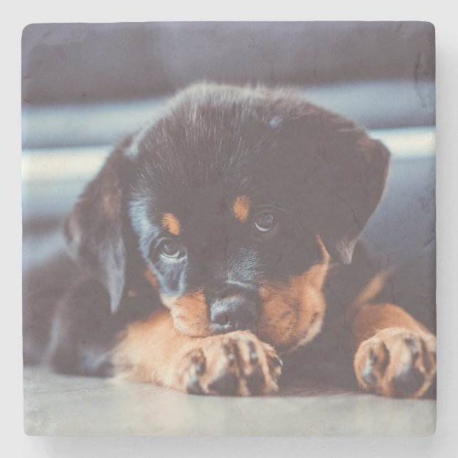 Posavasos De Piedra Descanso Adorable De Perro Rottweiler (Anverso)
