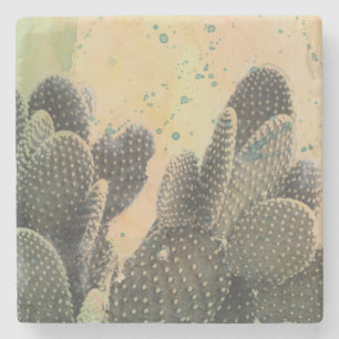 Posavasos De Piedra Desert Cactus   Placa verde