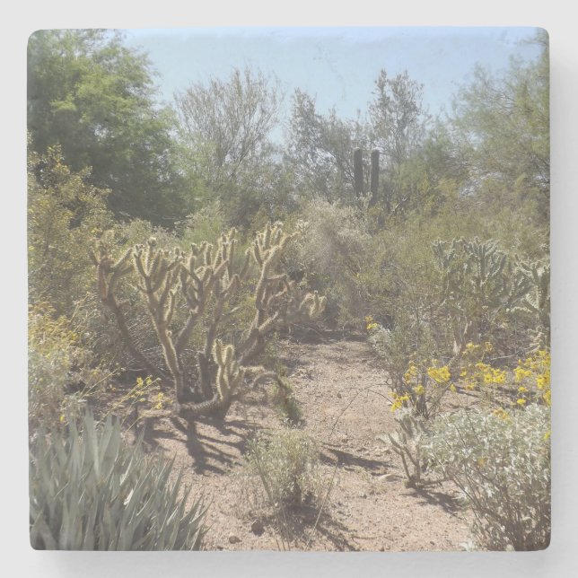 Posavasos De Piedra Desert Stone Coaster (Anverso)