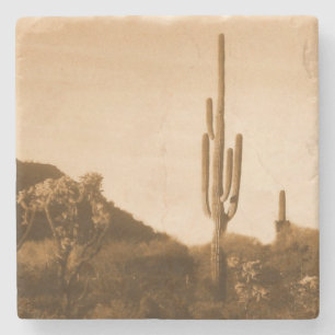 Posavasos De Piedra Desierto de sepia