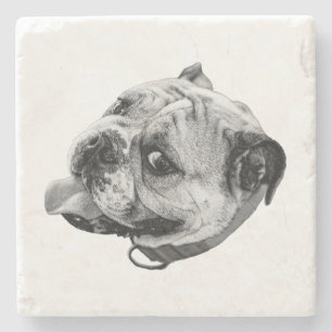 Posavasos De Piedra Detalle sutil de mascota