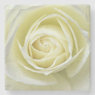 Posavasos De Piedra detalles de cerca de rosa blanca