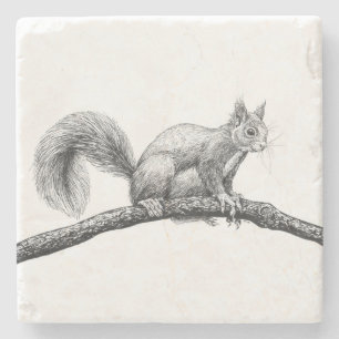 Posavasos De Piedra Dibujo de ardillas