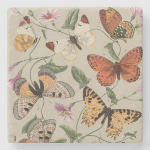 Posavasos De Piedra Dibujo de la Colección de Mariposas y Polillas de