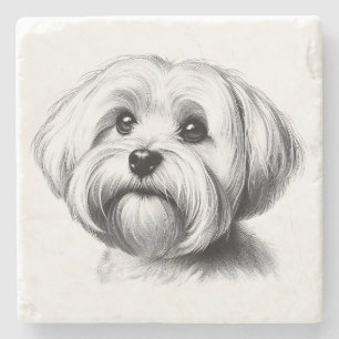 Posavasos De Piedra Dibujo de Perro maltés