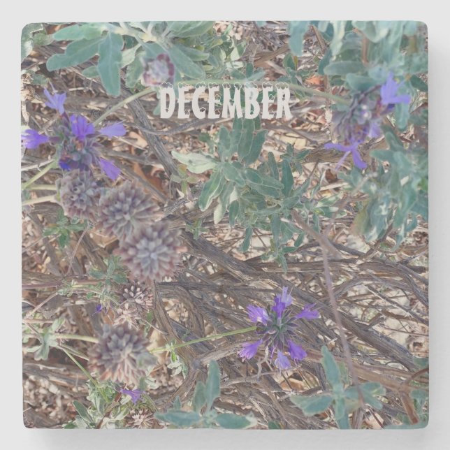 POSAVASOS DE PIEDRA DICIEMBRE (Anverso)