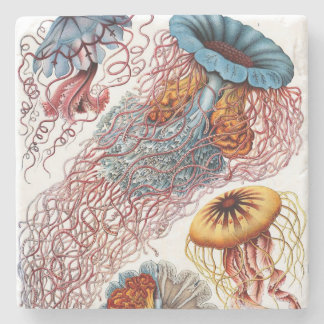 Posavasos De Piedra Discomedusae de Ernst Haeckel