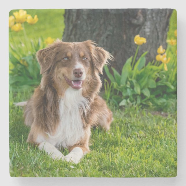 Posavasos De Piedra Diseñar su propia foto Personalizado (Anverso)