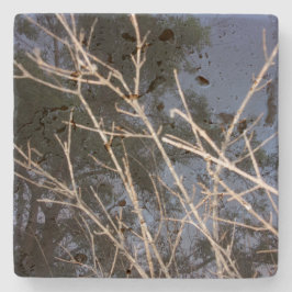 Posavasos De Piedra DISEÑO DE ESTILO ECO DE GUAY de la escoria de pied