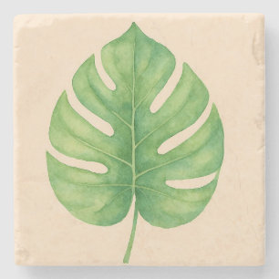 Posavasos De Piedra Diseño de hoja verde de Monstera. 