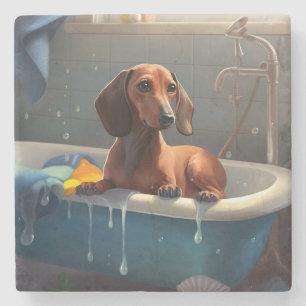 Posavasos De Piedra Diversión en el baño del Dachshund 