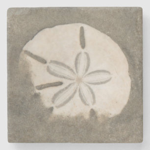 Posavasos De Piedra Dólar de arena (Echinarachnius parma)