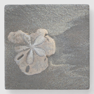 Posavasos De Piedra Dólar de arena en arena