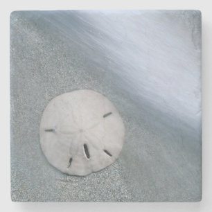 Posavasos De Piedra Dólar de arena en la playa Isla Sanibel, Florida
