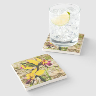Posavasos De Piedra Donkey Orchids