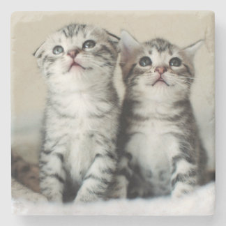 Posavasos De Piedra Dos gatitos lindos